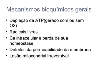 Mecanismos bioquímicos gerais
• Depleção de ATP(gerado com ou sem
O2)
• Radicais livres
• Ca intracelular e perda de sua
homeostase
• Defeitos da permeabilidade da membrana
• Lesão mitocondrial irreversível
 