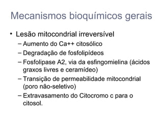 Mecanismos bioquímicos gerais
• Lesão mitocondrial irreversível
– Aumento do Ca++ citosólico
– Degradação de fosfolipídeos
– Fosfolipase A2, via da esfingomielina (ácidos
graxos livres e ceramídeo)
– Transição de permeabilidade mitocondrial
(poro não-seletivo)
– Extravasamento do Citocromo c para o
citosol.
 