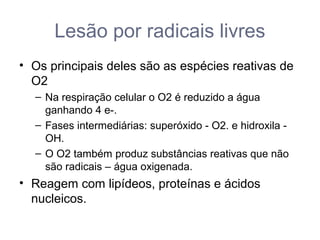 Lesão por radicais livres
• Os principais deles são as espécies reativas de
O2
– Na respiração celular o O2 é reduzido a água
ganhando 4 e-.
– Fases intermediárias: superóxido - O2. e hidroxila -
OH.
– O O2 também produz substâncias reativas que não
são radicais – água oxigenada.
• Reagem com lipídeos, proteínas e ácidos
nucleicos.
 