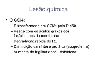 Lesão química
• O CCl4:
– É transformado em CCl3* pelo P-450
– Reage com os ácidos graxos dos
fosfolipideos da membrana
– Degradação rápida do RE
– Diminuição da síntese protéica (apoproteína)
– Aumento de triglicerídeos - esteatose
 