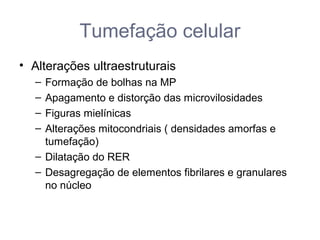 Tumefação celular
• Alterações ultraestruturais
– Formação de bolhas na MP
– Apagamento e distorção das microvilosidades
– Figuras mielínicas
– Alterações mitocondriais ( densidades amorfas e
tumefação)
– Dilatação do RER
– Desagregação de elementos fibrilares e granulares
no núcleo
 