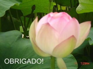 PATOLOGIA GERAL
OBRIGADO!
 