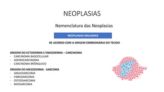 NEOPLASIAS
Nomenclatura das Neoplasias
NEOPLASIAS MALIGNAS
DE ACORDO COM A ORIGEM EMBRIONÁRIA DO TECIDO
ORIGEM DO ECTODERMA E ENDODERMA – CARCINOMA
- CARCINOMA BASOCELULAR
- ADENOCARCINOMA
- CARCINOMA BRÔNQUICO
ORIGEM DO MESODERMA - SARCOMA
- ANGIOSARCOMA
- FIBROSARCOMA
- OSTEOSARCOMA
- MIOSARCOMA
 