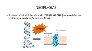 NEOPLASIAS
• A causa principal é devido a MULTAÇÃO NO DNA (onde cédulas do
tecido sofrem alterações no seu DNA)
 