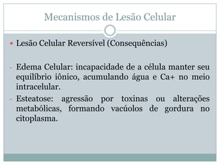 Mecanismos de Lesão Celular
 Lesão Celular Reversível (Consequências)
- Edema Celular: incapacidade de a célula manter seu
equilíbrio iônico, acumulando água e Ca+ no meio
intracelular.
- Esteatose: agressão por toxinas ou alterações
metabólicas, formando vacúolos de gordura no
citoplasma.
 