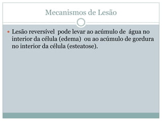 Mecanismos de Lesão
 Lesão reversível pode levar ao acúmulo de água no
interior da célula (edema) ou ao acúmulo de gordura
no interior da célula (esteatose).
 