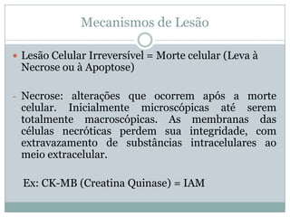 Mecanismos de Lesão
 Lesão Celular Irreversível = Morte celular (Leva à
Necrose ou à Apoptose)
- Necrose: alterações que ocorrem após a morte
celular. Inicialmente microscópicas até serem
totalmente macroscópicas. As membranas das
células necróticas perdem sua integridade, com
extravazamento de substâncias intracelulares ao
meio extracelular.
Ex: CK-MB (Creatina Quinase) = IAM
 