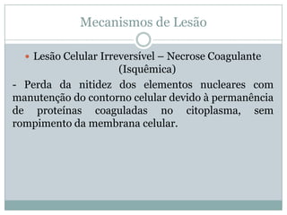 Mecanismos de Lesão
 Lesão Celular Irreversível – Necrose Coagulante
(Isquêmica)
- Perda da nitidez dos elementos nucleares com
manutenção do contorno celular devido à permanência
de proteínas coaguladas no citoplasma, sem
rompimento da membrana celular.
 