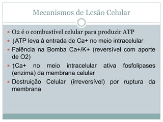 Mecanismos de Lesão Celular
 O2 é o combustível celular para produzir ATP
 ↓ATP leva à entrada de Ca+ no meio intracelular
 Falência na Bomba Ca+/K+ (reversível com aporte
de O2)
 ↑Ca+ no meio intracelular ativa fosfolipases
(enzima) da membrana celular
 Destruição Celular (irreversível) por ruptura da
membrana
 