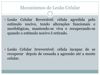 Mecanismos de Lesão Celular
 Lesão Celular Reversível: célula agredida pelo
estímulo nocivo, tendo alterações funcionais e
morfológicas, mantendo-se viva e recuperando-se
quando o estímulo nocivo é retirado.
 Lesão Celular Irreversível: célula incapaz de se
recuperar depois de cessada a agressão até a morte
celular.
 