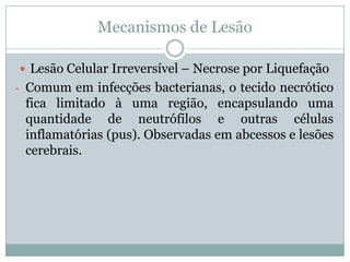 Mecanismos de Lesão
 Lesão Celular Irreversível – Necrose por Liquefação
- Comum em infecções bacterianas, o tecido necrótico
fica limitado à uma região, encapsulando uma
quantidade de neutrófilos e outras células
inflamatórias (pus). Observadas em abcessos e lesões
cerebrais.
 