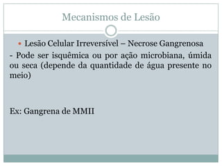 Mecanismos de Lesão
 Lesão Celular Irreversível – Necrose Gangrenosa
- Pode ser isquêmica ou por ação microbiana, úmida
ou seca (depende da quantidade de água presente no
meio)
Ex: Gangrena de MMII
 