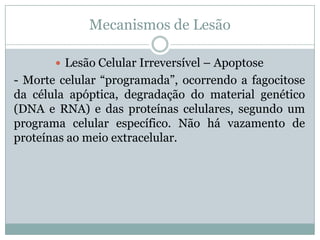 Mecanismos de Lesão
 Lesão Celular Irreversível – Apoptose
- Morte celular “programada”, ocorrendo a fagocitose
da célula apóptica, degradação do material genético
(DNA e RNA) e das proteínas celulares, segundo um
programa celular específico. Não há vazamento de
proteínas ao meio extracelular.
 