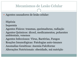 Mecanismos de Lesão Celular
 Agentes causadores de lesão celular:
- Hipóxia
- Isquemia
- Agentes Físicos: traumas, queimaduras, radiação
- Agentes Químicos: álcool, medicamentos, poluentes
ambientais, venenos
- Agentes Infecciosos: Vírus, Bactérias, Fungos
- Reações Imunológicas: Patologias auto-imunes
- Anomalias Genéticas: Anemia Falciforme
- Alterações Nutricionais: obesidade, má nutrição
 