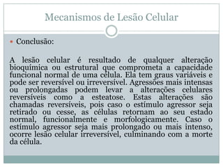 Mecanismos de Lesão Celular
 Conclusão:
A lesão celular é resultado de qualquer alteração
bioquímica ou estrutural que comprometa a capacidade
funcional normal de uma célula. Ela tem graus variáveis e
pode ser reversível ou irreversível. Agressões mais intensas
ou prolongadas podem levar a alterações celulares
reversíveis como a esteatose. Estas alterações são
chamadas reversíveis, pois caso o estímulo agressor seja
retirado ou cesse, as células retornam ao seu estado
normal, funcionalmente e morfologicamente. Caso o
estímulo agressor seja mais prolongado ou mais intenso,
ocorre lesão celular irreversível, culminando com a morte
da célula.
 