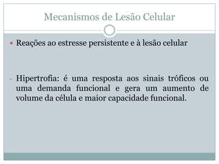 Mecanismos de Lesão Celular
 Reações ao estresse persistente e à lesão celular
- Hipertrofia: é uma resposta aos sinais tróficos ou
uma demanda funcional e gera um aumento de
volume da célula e maior capacidade funcional.
 