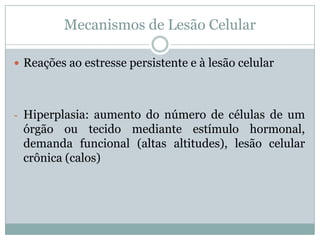 Mecanismos de Lesão Celular
 Reações ao estresse persistente e à lesão celular
- Hiperplasia: aumento do número de células de um
órgão ou tecido mediante estímulo hormonal,
demanda funcional (altas altitudes), lesão celular
crônica (calos)
 