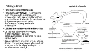 Patologia Geral
• Fenômenos da inflamação:
• Fenômenos irritativos -> consistem
num conjunto de modificações
provocadas pelo agente inflamatório
que resulta na liberação de mediadores
químicos responsáveis pelos
fenômenos subsequentes da
inflamação.
• Células e mediadores da inflamação:
• Os tecidos possuem inervação,
microcirculação, células
parenquimatosas e estroma (tecido
conjuntivo).
• Agentes lesivos atingem um ou vários
desses componentes que vão produzir
uma resposta local para adaptar os
tecidos à nova situação.
Capítulo 5: Inflamação
Iniciação química da nocicepção
 