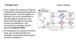 Patologia Geral
• Essas reações dos tecidos que liberam
mediadores imediatamente agindo no
próprio tecido, tentando adaptá-lo à
agressão, são muito semelhantes a
variados agentes agressores, pois
fazem pela liberação de um grupo
restrito de mediadores e são
necessárias em qualquer tipo de
agressão (resposta inata).
• Os mediadores da resposta imunitária
inata, são complementados por
mediadores produzidos pela resposta
imunitária adaptativa.
Capítulo 5: Inflamação
 