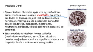 Patologia Geral
• Os mediadores liberados após uma agressão ficam
armazenados em células (ex: mastócitos presentes
em todos os tecidos conjuntivos) ou terminações
nervosas sensitivas, ou são produzidos por outras
células (endotélio, monócitos, macrófagos,
neutrófilos, linfócitos, células parenquimatosas ou do
estroma).
• Essas subtâncias recebem nomes variados
(mediadores endógenos, autacóides, citocinas,
quimiocinas) e desempenham papel fundamental nas
respostas locais e sistêmicas após agressões.
Capítulo 5: Inflamação
 