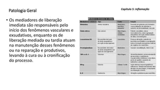Patologia Geral
• Os mediadores de liberação
imediata são responsáveis pelo
início dos fenômenos vasculares e
exsudativos, enquanto os de
liberação mediada ou tardia atuam
na manutenção desses fenômenos
ou na reparação e produtivos,
levando à cura ou à cronificação
do processo.
Capítulo 5: Inflamação
 