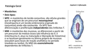 Patologia Geral
• Mastócitos:
• Dois tipos:
• MTC -> mastócitos de tecido conjuntivo, são células grandes
que se originam de um precursor mesenquimal
(mesênquima é um tecido embrionário originado do
conjuntivo) ainda não conhecido. Os MTC tem
diferenciação e proliferação independentes dos linfócitos T.
• MM -> mastócitos das mucosas, se diferenciam a partir de
um precursor da medula óssea sob influência da IL-3
(interleucina 3, atua na maturação e liberação de histamina)
e se localizam geralmente na lâmina própria de mucosas
(exsudam para locais de reação anafilática no período
imediato ou tardio). Os MM são essencialmente
dependentes de linfócitos T.
Capítulo 5: Inflamação
MTC – mastócito de
tecido conjuntivo
 