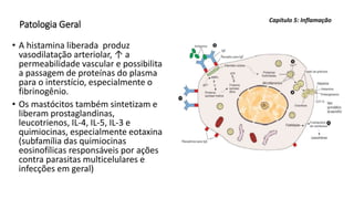 Patologia Geral
• A histamina liberada produz
vasodilatação arteriolar, ↑ a
permeabilidade vascular e possibilita
a passagem de proteínas do plasma
para o interstício, especialmente o
fibrinogênio.
• Os mastócitos também sintetizam e
liberam prostaglandinas,
leucotrienos, IL-4, IL-5, IL-3 e
quimiocinas, especialmente eotaxina
(subfamília das quimiocinas
eosinofílicas responsáveis por ações
contra parasitas multicelulares e
infecções em geral)
Capítulo 5: Inflamação
 