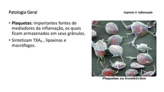 Patologia Geral
• Plaquetas: importantes fontes de
mediadores da inflamação, os quais
ficam armazenados em seus grânulos.
• Sintetizam TXA₂ , lipoxinas e
macrófagos.
Capítulo 5: Inflamação
 