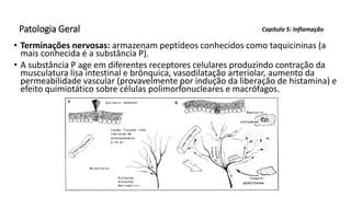 Patologia Geral
• Terminações nervosas: armazenam peptídeos conhecidos como taquicininas (a
mais conhecida é a substância P).
• A substância P age em diferentes receptores celulares produzindo contração da
musculatura lisa intestinal e brônquica, vasodilatação arteriolar, aumento da
permeabilidade vascular (provavelmente por indução da liberação de histamina) e
efeito quimiotático sobre células polimorfonucleares e macrófagos.
Capítulo 5: Inflamação
 