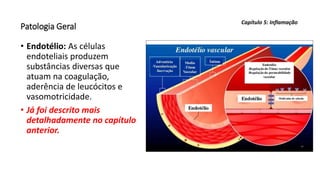 Patologia Geral
• Endotélio: As células
endoteliais produzem
substâncias diversas que
atuam na coagulação,
aderência de leucócitos e
vasomotricidade.
• Já foi descrito mais
detalhadamente no capítulo
anterior.
Capítulo 5: Inflamação
 