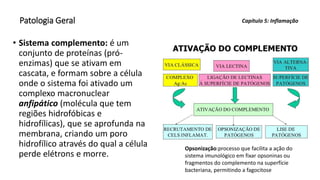 Patologia Geral
• Sistema complemento: é um
conjunto de proteínas (pró-
enzimas) que se ativam em
cascata, e formam sobre a célula
onde o sistema foi ativado um
complexo macronuclear
anfipático (molécula que tem
regiões hidrofóbicas e
hidrofílicas), que se aprofunda na
membrana, criando um poro
hidrofílico através do qual a célula
perde elétrons e morre.
Capítulo 5: Inflamação
Opsonização:processo que facilita a ação do
sistema imunológico em fixar opsoninas ou
fragmentos do complemento na superfície
bacteriana, permitindo a fagocitose
 