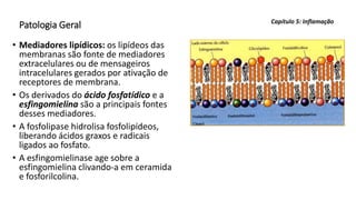 Patologia Geral
• Mediadores lipídicos: os lipídeos das
membranas são fonte de mediadores
extracelulares ou de mensageiros
intracelulares gerados por ativação de
receptores de membrana.
• Os derivados do ácido fosfatídico e a
esfingomielina são a principais fontes
desses mediadores.
• A fosfolipase hidrolisa fosfolipídeos,
liberando ácidos graxos e radicais
ligados ao fosfato.
• A esfingomielinase age sobre a
esfingomielina clivando-a em ceramida
e fosforilcolina.
Capítulo 5: Inflamação
 