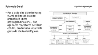 Patologia Geral
• Por a ação das cicloxigenases
(COX) do citosol, o ácido
aracdônico libera
prostaglandinas (PG), que
agem em receptores de várias
células, produzindo uma vasta
gama de efeitos biológicos.
Capítulo 5: Inflamação
 
