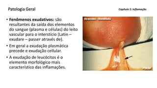 Patologia Geral
• Fenômenos exudativos: são
resultantes da saída dos elementos
do sangue (plasma e células) do leito
vascular para o interstício (Latin –
exudare – passer através de).
• Em geral a exudação plasmática
precede e exudação cellular.
• A exudação de leucócitos é o
elemento morfológico mais
característico das inflamações.
Capítulo 5: Inflamação
 