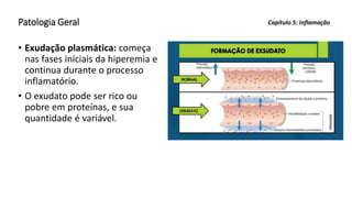Patologia Geral
• Exudação plasmática: começa
nas fases iniciais da hiperemia e
continua durante o processo
inflamatório.
• O exudato pode ser rico ou
pobre em proteínas, e sua
quantidade é variável.
Capítulo 5: Inflamação
 