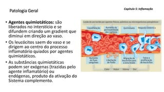 Patologia Geral
• Agentes quimiotáticos: são
liberados no interstício e se
difundem criando um gradient que
diminui em direção ao vaso.
• Os leucócitos saem do vaso e se
dirigem ao centro do processo
inflamatório quiados por agentes
quimiotáticos.
• As substâncias quimiotáticas
podem ser exógenas (trazidas pelo
agente inflamatório) ou
endógenas, produto da ativação do
Sistema complemento.
Capítulo 5: Inflamação
 