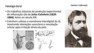 Patologia Geral
• Os trabalhos clássicos de produção experimental
de inflamação são de Julius Cohnhein (1839-
1884), feitos no século XIX.
• Cohnhein utilizou a membrana interdigital da rã,
mostrando alterações vasculares e exsudação
celular após irritação direta da pele.
Capítulo 5: Inflamação
 