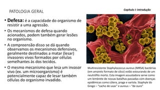 PATOLOGIA GERAL
• Defesa: é a capacidade do organismo de
resistir a uma agressão.
• Os mecanismos de defesa quando
acionados, podem também gerar lesões
no organismo.
• A compreensão disso se dá quando
observamos os mecanismos defensivos,
geralmente destinados a matar (lesar)
invasores vivos formados por células
semelhantes às dos tecidos.
• O mesmo mecanismo que lesa um invasor
vivo (ex. um microorganismo) é
potencialmente capaz de lesar também
células do organismo invadido.
Capítulo I: Introdução
Multiresistente Staphylococcus aureus (MRSA) bactérias
(em amarelo formato de côco) estão estourando de um
neutrófilo morto. Esta imagem assustadora serve como
um lembrete de nossas batalhas passadas com doenças
epidêmicas como cólera, praga e varíola. Staphyle do
Grego – “cacho de uvas” e aureus – “de ouro”
 
