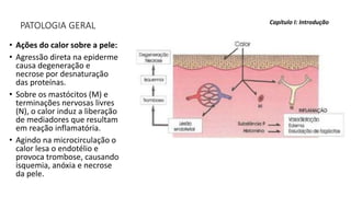 PATOLOGIA GERAL
• Ações do calor sobre a pele:
• Agressão direta na epiderme
causa degeneração e
necrose por desnaturação
das proteínas.
• Sobre os mastócitos (M) e
terminações nervosas livres
(N), o calor induz a liberação
de mediadores que resultam
em reação inflamatória.
• Agindo na microcirculação o
calor lesa o endotélio e
provoca trombose, causando
isquemia, anóxia e necrose
da pele.
Capítulo I: Introdução
 