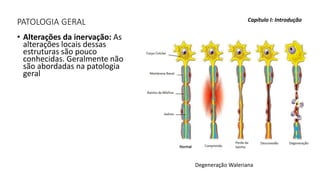 PATOLOGIA GERAL
• Alterações da inervação: As
alterações locais dessas
estruturas são pouco
conhecidas. Geralmente não
são abordadas na patologia
geral
Capítulo I: Introdução
Degeneração Waleriana
 