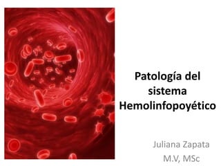 Patología del
sistema
Hemolinfopoyético
Juliana Zapata
M.V, MSc
 