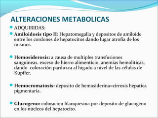 ADQUIRIDAS:
Amiloidosis tipo II: Hepatomegalia y depositos de amiloide
entre los cordones de hepatocitos dando lugar atrofia de los
mismos.
Hemosiderosis: a causa de multiples transfusiones
sanguineas. exceso de hierro alimenticio, anemias hemoliticas,
dando coloración parduzca al higado a nivel de las células de
Kupffer.
Hemocromatosis: deposito de hemosiderina=cirrosis hepatica
pigmentaria.
Glucogeno: coloracion blanquesina por deposito de glucogeno
en los núcleos del hepatocito.
ALTERACIONES METABOLICAS
 