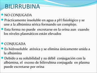 BILIRRUBINA
NO CONJUGADA
Prácticamente insoluble en agua a pH fisiológico y se
une a la albúmina sérica formando un complejo.
Esta forma no puede excretarse en la orina aun cuando
los niveles plasmáticos están elevados
CONJUGADA
Es hidrosoluble atóxica y se elimina únicamente unida a
la albúmina
Debido a su solubilidad y su débil conjugación con la
albúmina, el exceso de bilirrubina conjugada en plasma
puede excretarse por orina
 