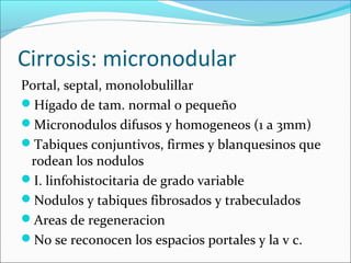 Cirrosis: micronodular
Portal, septal, monolobulillar
Hígado de tam. normal o pequeño
Micronodulos difusos y homogeneos (1 a 3mm)
Tabiques conjuntivos, firmes y blanquesinos que
rodean los nodulos
I. linfohistocitaria de grado variable
Nodulos y tabiques fibrosados y trabeculados
Areas de regeneracion
No se reconocen los espacios portales y la v c.
 