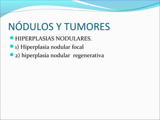 NÓDULOS Y TUMORES
HIPERPLASIAS NODULARES.
1) Hiperplasia nodular focal
2) hiperplasia nodular regenerativa
 