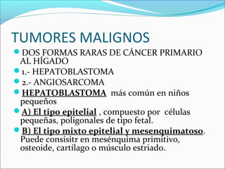 TUMORES MALIGNOS
DOS FORMAS RARAS DE CÁNCER PRIMARIO
AL HÍGADO
1.- HEPATOBLASTOMA
2.- ANGIOSARCOMA
HEPATOBLASTOMA más común en niños
pequeños
A) El tipo epitelial , compuesto por células
pequeñas, poligonales de tipo fetal.
B) El tipo mixto epitelial y mesenquimatoso.
Puede consisitr en mesénquima primitivo,
osteoide, cartílago o músculo estriado.
 