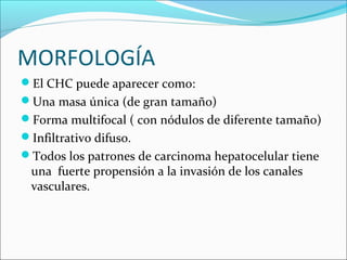 MORFOLOGÍA
El CHC puede aparecer como:
Una masa única (de gran tamaño)
Forma multifocal ( con nódulos de diferente tamaño)
Infiltrativo difuso.
Todos los patrones de carcinoma hepatocelular tiene
una fuerte propensión a la invasión de los canales
vasculares.
 