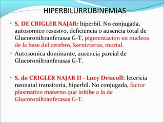 • S. DE CRIGLER NAJAR: hiperbil. No conjugada,
autosomico resesivo, deficiencia o ausencia total de
Glucoroniltranferasas G-T, pigmentacion en nucleos
de la base del cerebro, kernicterus, mortal.
• Autosomica dominante, ausencia parcial de
Glucoroniltranferasas G-T.
• S. de CRIGLER NAJAR II - Lucy Driscoll: Ictericia
neonatal transitoria, hiperbil. No conjugada, factor
plasmatico materno que inhibe a la de
Glucoroniltranferasas G-T.
HIPERBILURRUBINEMIAS
 
