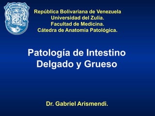 República Bolivariana de Venezuela
Universidad del Zulia.
Facultad de Medicina.
Cátedra de Anatomía Patológica.
Patología de Intestino
Delgado y Grueso
Dr. Gabriel Arismendi.
 