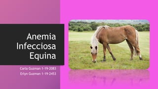 Anemia
Infecciosa
Equina
Carla Guzman 1-19-2083
Erlyn Guzman 1-19-2453
 